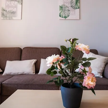 Medano Sunny Apartment, Pool, Parking & Lägenhet *
